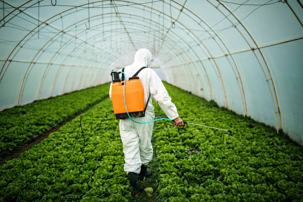 Professional Pest Control in Baker, MT