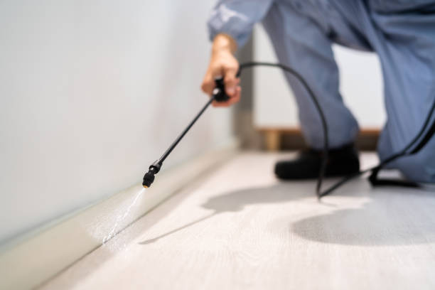 Best Affordable Pest Control Services  in Baker, MT