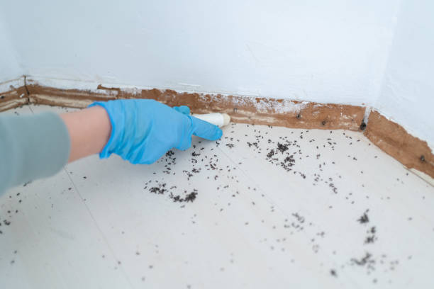 Best Cockroach Control Services  in Baker, MT