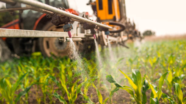 Best Pest Removal Services  in Baker, MT